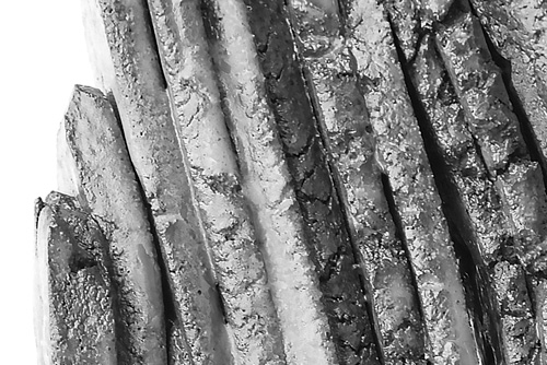 Fidel Ferrando - Memory registers. Galería 22