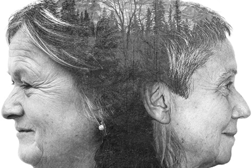 Las dos Ursulas. Galería 22